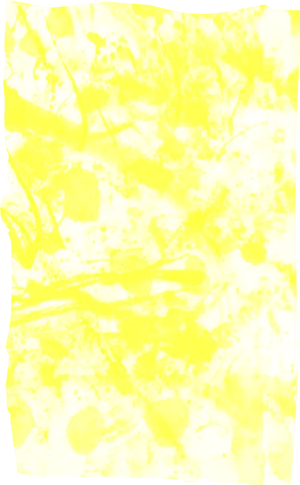 黄色の模様